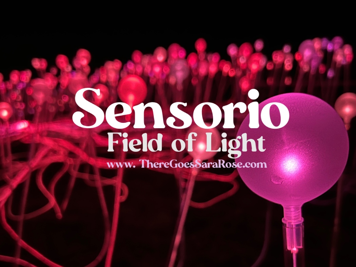 A Dazzling Journey Through Light: My Sensorio Experience in Paso Robles || ThereGoesSaraRose.com