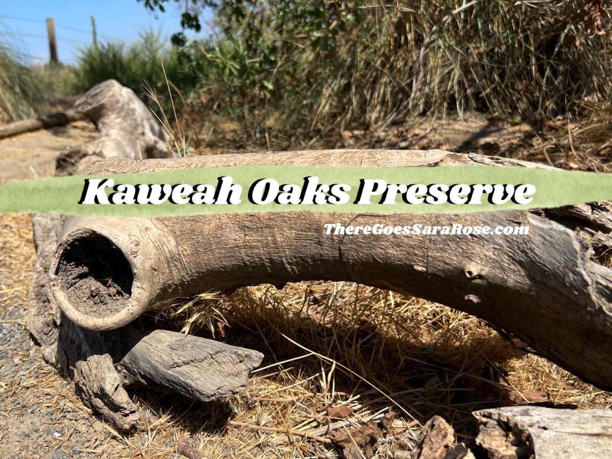 A Journey Through Kaweah Oaks Preserve || ThereGoesSaraRose.com